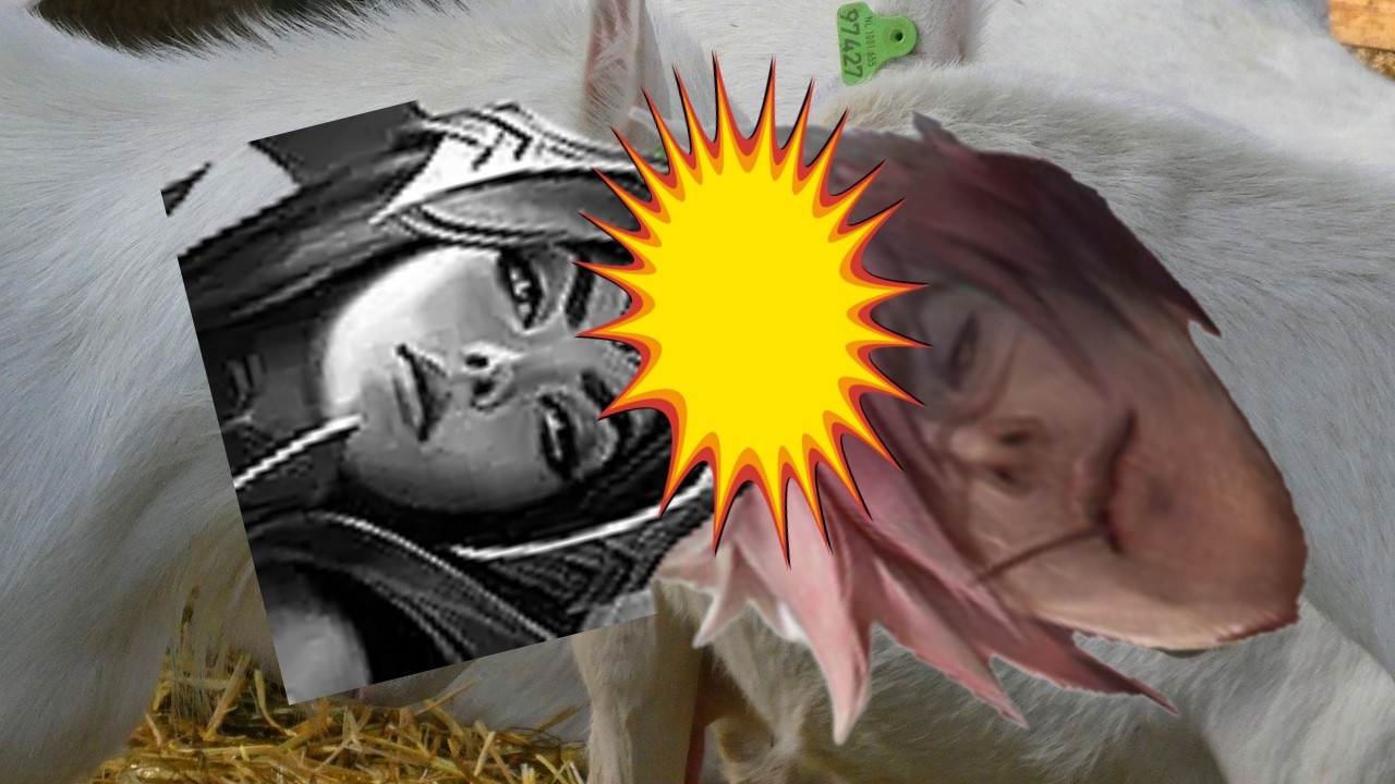 박치기공룡(절망편)