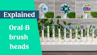 Best OralB Brush Head 2024