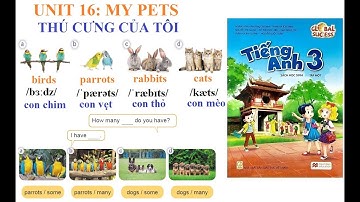 [TIẾNG ANH LỚP 3- Học kỳ 2] Unit 16: My pets | Thú cưng của tôi | Sách Global Success-Năm học 2023