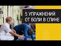 5 упражнений от боли в спине. Станет легче уже через 15 минут.