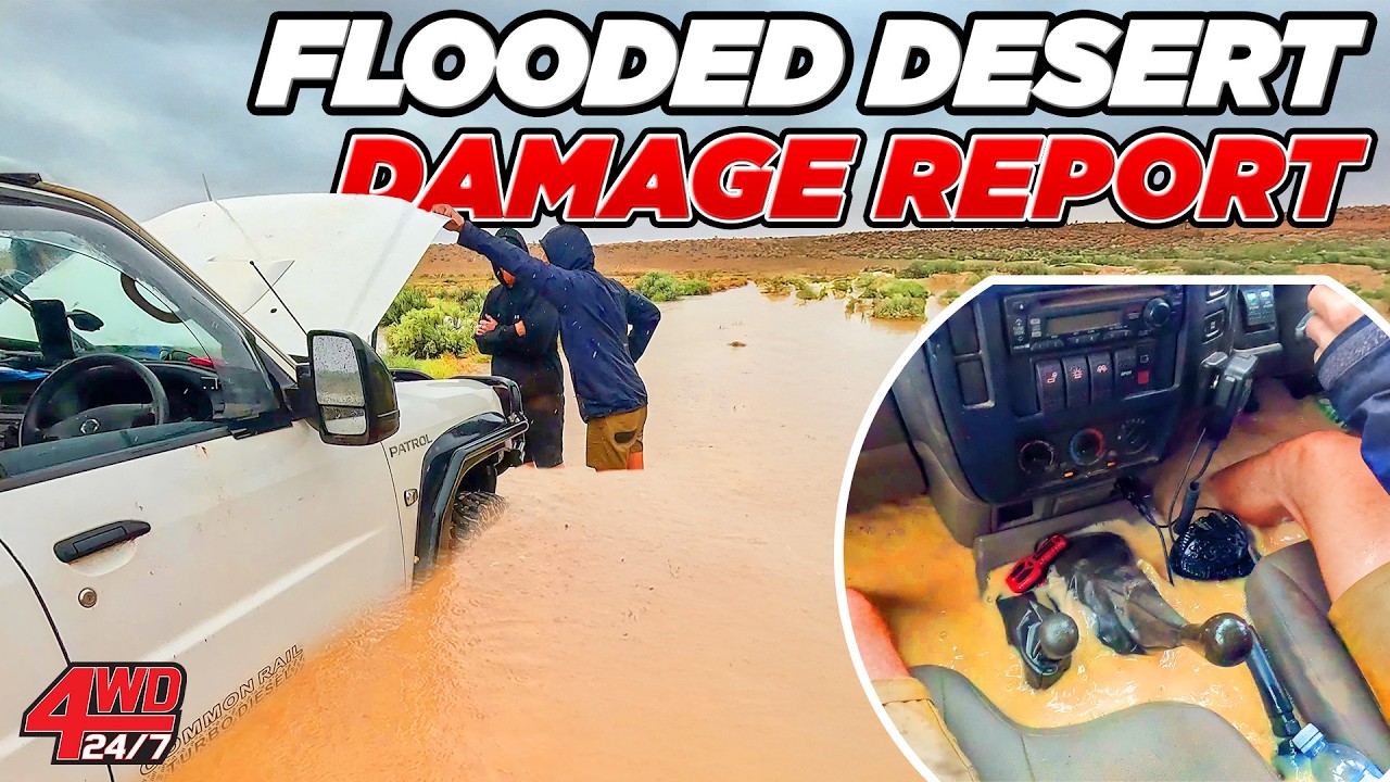 SO MUCH DAMAGE we should scrap it... mud ruined EVERYTHING