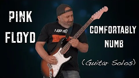 The Best Guitar Solo in The World? (Comfortably Numb)