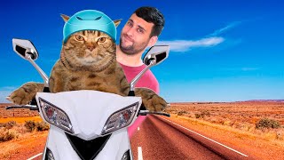 Animales Graciosos #4 - Gatos motorizados by Fancro 2,480 views 1 year ago 2 minutes, 23 seconds