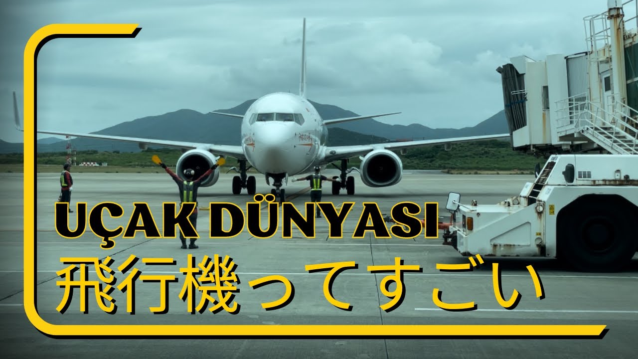 南ぬ島石垣空港で飛行機を見てきました〜みんな忙しいですね〜İşigaki Havaalanı’nda uçakları izledik