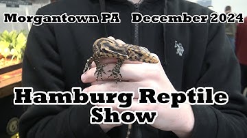 Hamburg Reptile Show December 2024