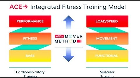 ACE Integrated Fitness training model