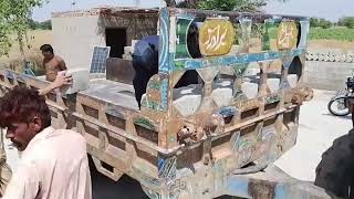 Amazing Block Loading Process | 5 Inch Cement BlocksConcrete Block Factory Work | Trolley