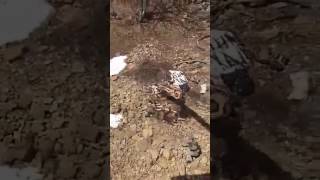 Tuncelide 26 Mart 2017 Günü 25 Terörist Öldürüldü