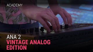 Vintage Drum Samples and Analog Synth Tones with ANA 2