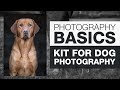 PHOTOGRAPHY BASICS | Kit for Dog Photography