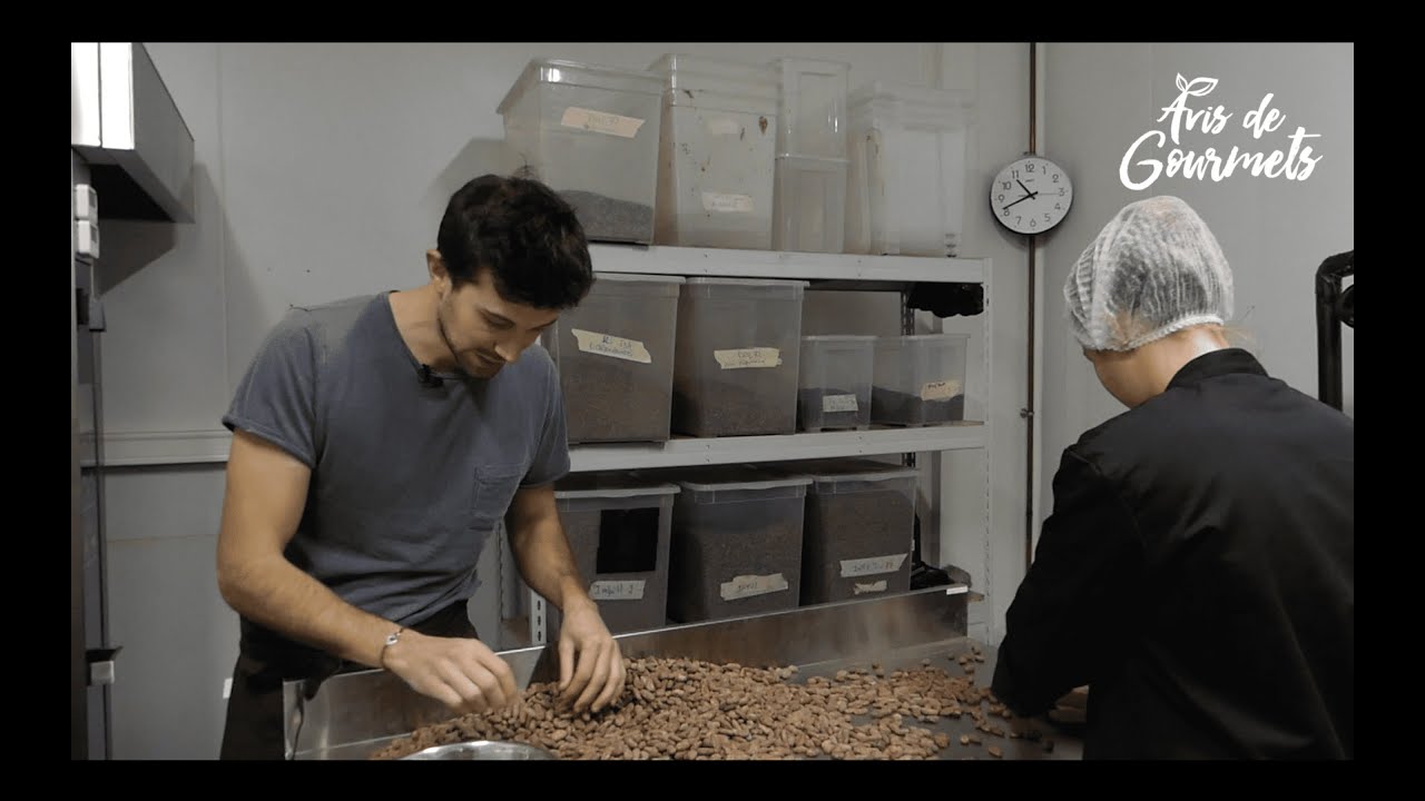 Chocolat Bean to Bar, qu'est-ce que c'est ? (avec Chocolat Encuentro)