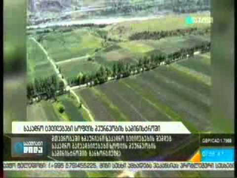 10 11 2014   მაესტრო   საქმიანი დილა