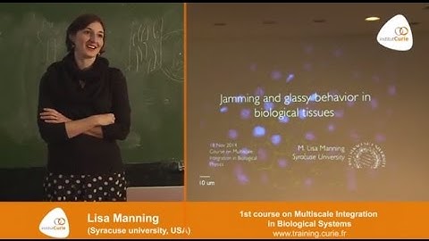 Lisa Manning:"Jamming and glassy behavior in biological tissues"