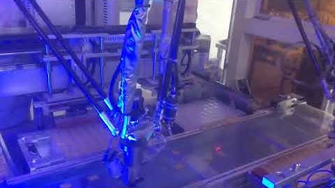 4 axis Delta Robot for biscuit packing application