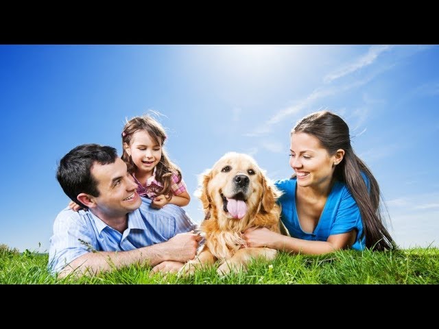 Episode 00 - The story of how Step Beyond to Healthy came to be