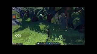 Testing: OBS vs Action 1