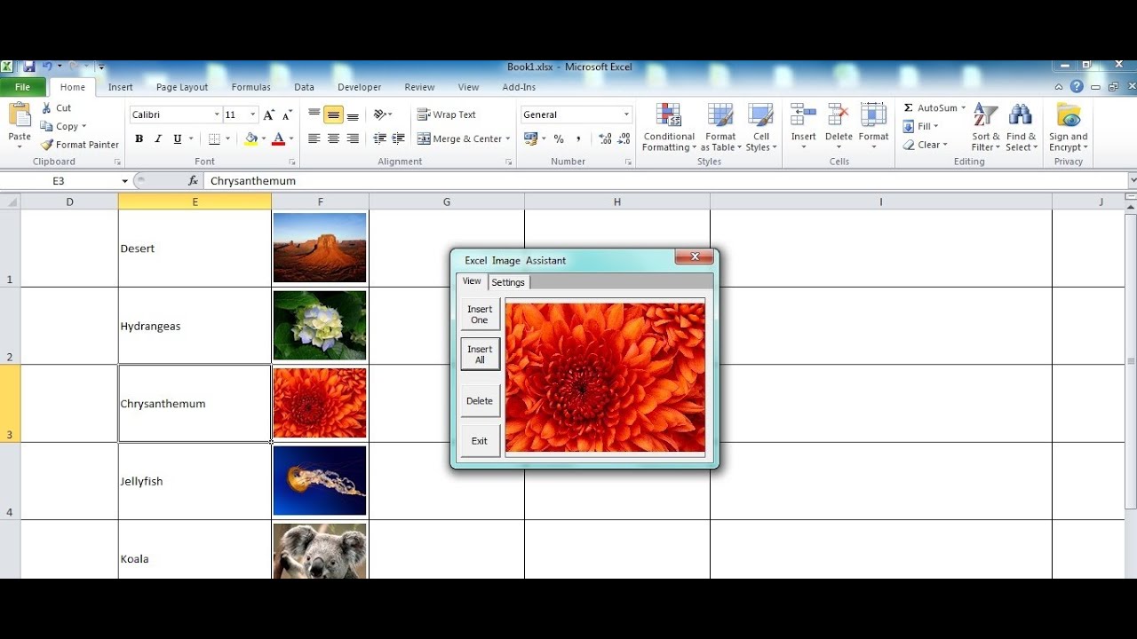 How to Insert Pictures in Excel That Automatically Size to Fit Cells