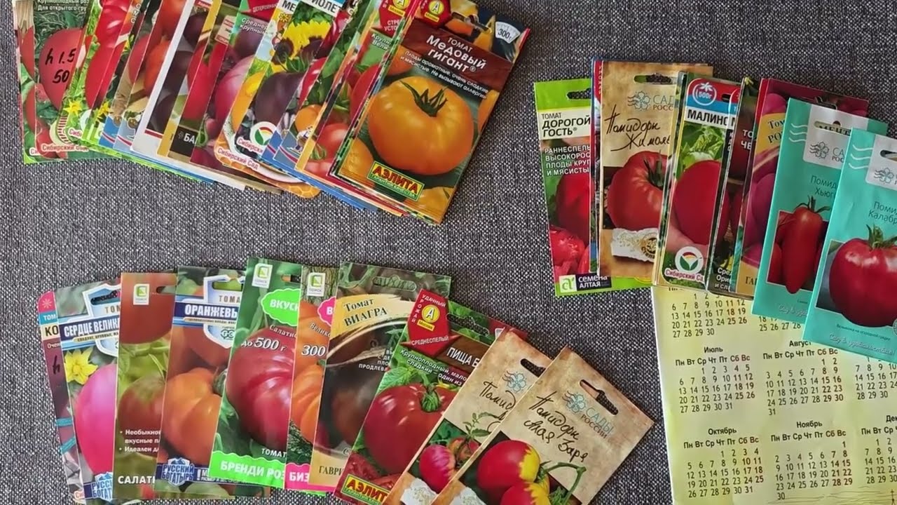 Сроки посева томатов 2026