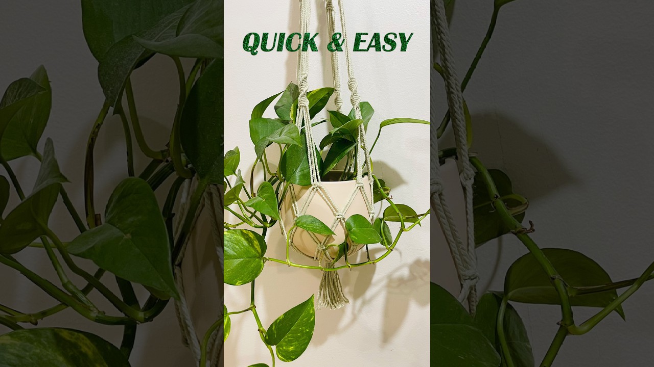 Easy Macramé Plant Hanger Tutorial for Beginners | Step-by-Step DIY ...