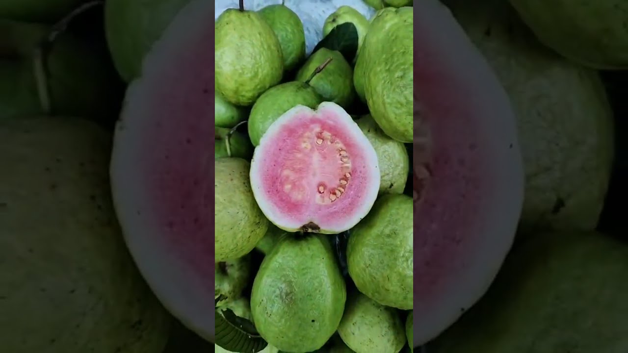 Quốc Thịnh Vlog đang phát trực tiếp!