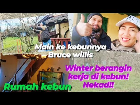 UPADATE KONDISI KEBUN DISAAT WINTER & ANGIN KENCANG! HOUSE TOUR DI KEBUN BRUCE WILLIS 🇷🇴