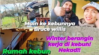 UPADATE KONDISI KEBUN DISAAT WINTER & ANGIN KENCANG! HOUSE TOUR DI KEBUN BRUCE WILLIS 🇷🇴