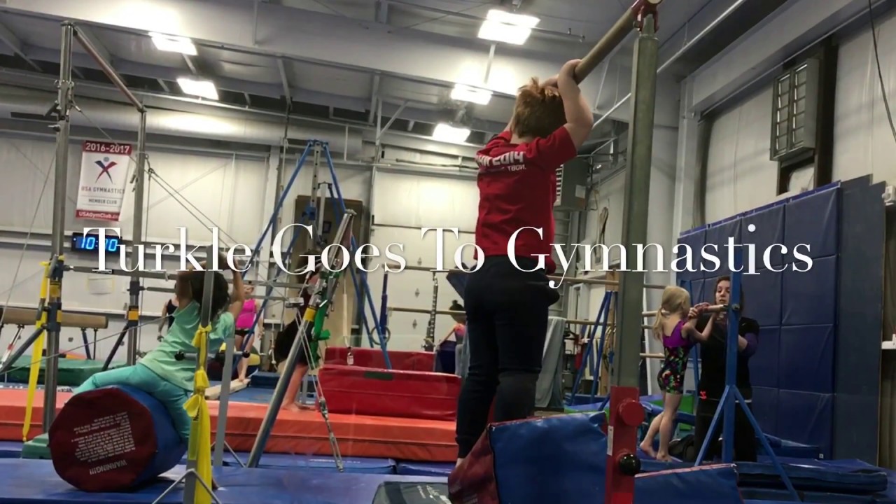 Turkle Goes To Gymnastics