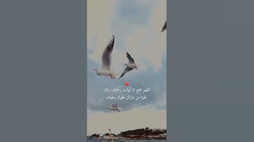 ربنا عليك توكلنا وإليك أنبنا وإليك المصير 🌹تلاوة خاشعة
