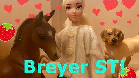 My First Breyer Stop motion! And my first video!