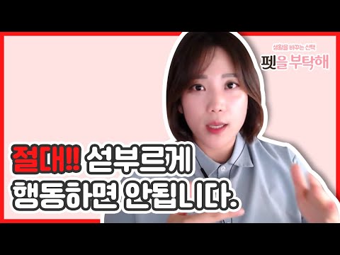새끼 강아지 입질, 깨무는 행동 바디블로킹도 소용 없을 때는 어떻게 하면 좋을까요? 섣불리 행동하면 큰일!