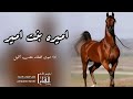 شيلة اميره بنت امير اداء صوت الفخامه متعب الخيل 