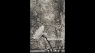 Modes in contemporary photography and ...