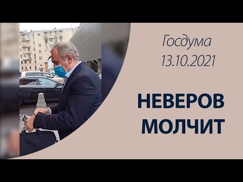 Неверов молчит, Госдума