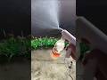 किसी भी बोतल को बना दो Electric Sprayer!