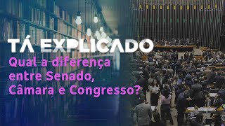 Qual a diferença entre Senado, Câmara e Congresso? | Tá Explicado