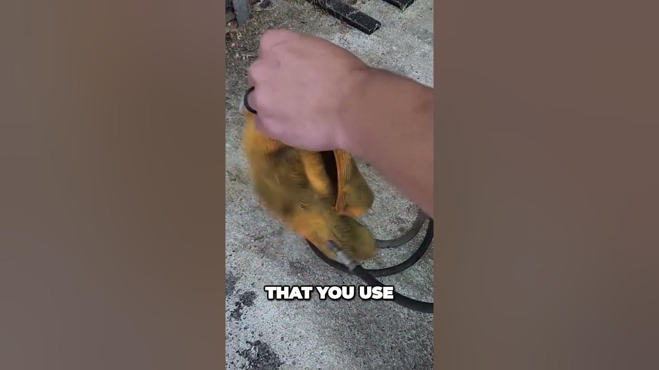 is-your-car-brake-line-clogged-find-out-with-this-easy-test-youtube
