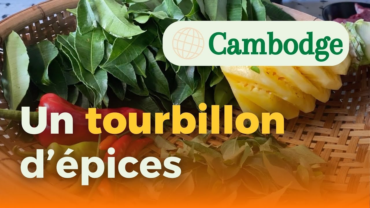 Un festin khmer : des recettes authentiques et pleines de goût