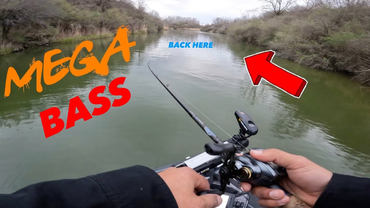 SPRING BASS FISHING, CATCH BIG BASS BACK HERE!! 100% RIGHT NOW!