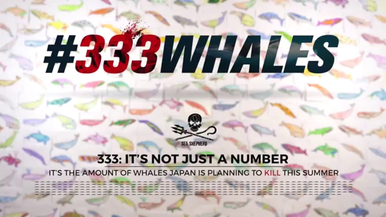 End Whaling - Take action now #333whales