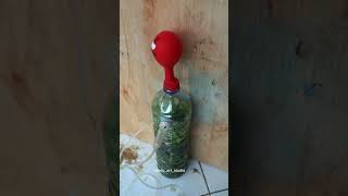 CARA MEMBUAT BIOGAS DARI SAYURAN
