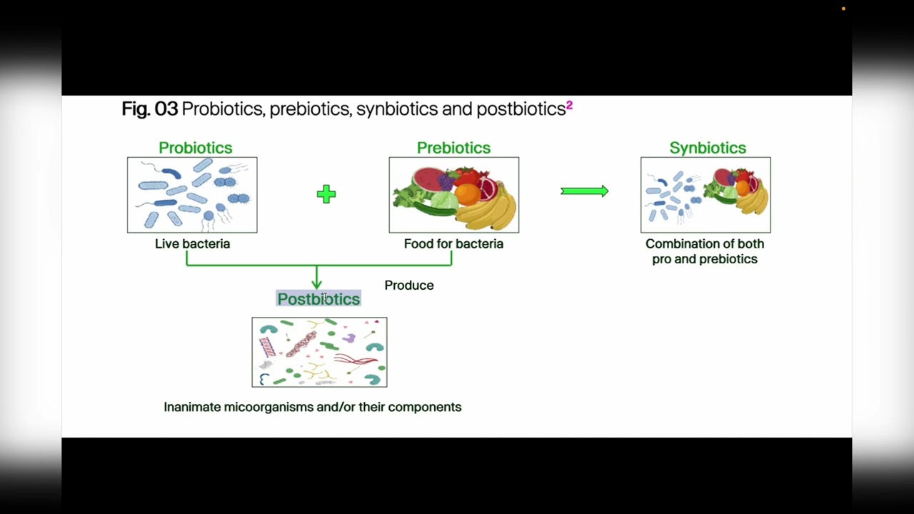 الفرق بين Probiotics , Prebiotics , Synbiotics and Postbiotics |  البكتيريا النافعة