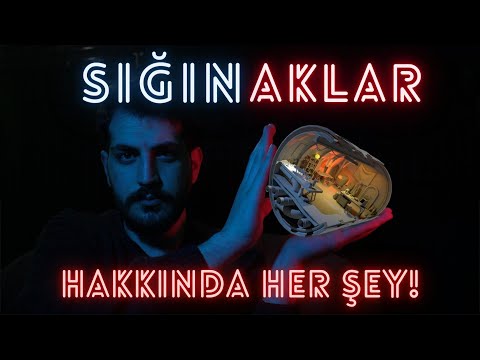 Sığınaklar Hakkında Her şey