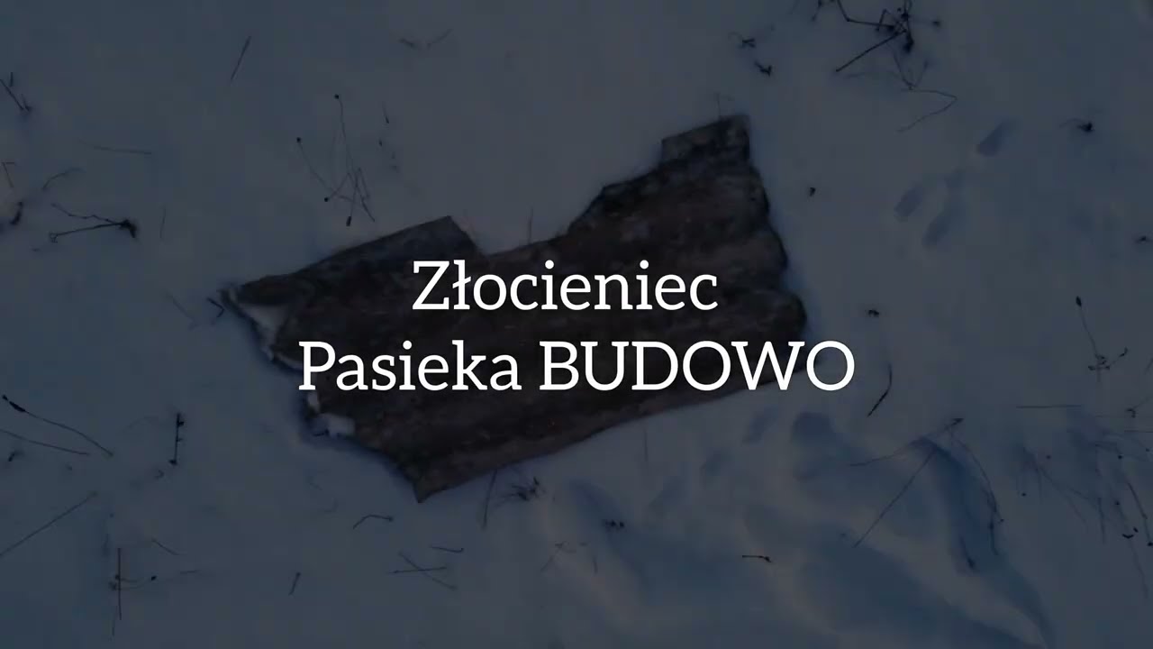 Odtwarzacz wideo YouTube