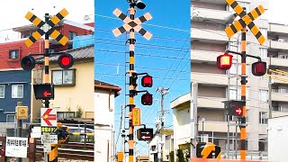 【電車】踏切動画 #21 【カンカン】山陽電車/静岡鉄道/JR琵琶湖線/養老鉄道/JR紀勢本線/東武東上線/JR鹿児島本線 他 // Railroad Crossing