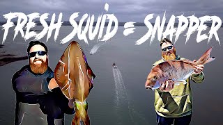 Fresh Squid Equals Snapper - Western Port Bay - Australia screenshot 1