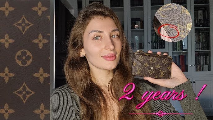 Pros and cons to the Small Gucci Dionysus - 2022 mini review — ha-na