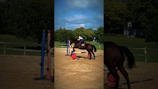 Flashback to Casey's first 2ft jump last summer #Casey #horses #horsegirl #equestrian #eq #jumper