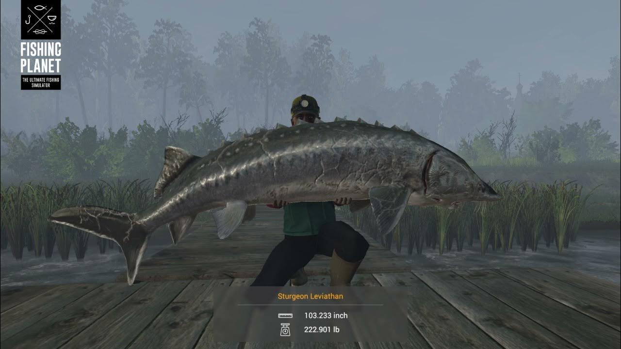 фишинг планет ахтуба