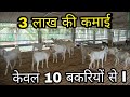 How to start goat farming a2z jankari goatfarming