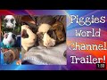 Piggies world channel trailer